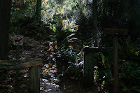 End of Marshall's Hill Trail Photo