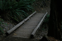 Wooden Bridge Photo