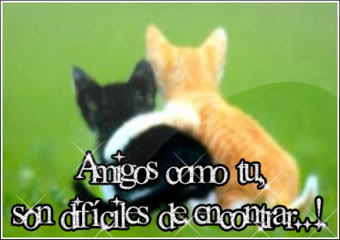 Imagenes para mi hi5