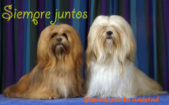 Imagenes para mi hi5