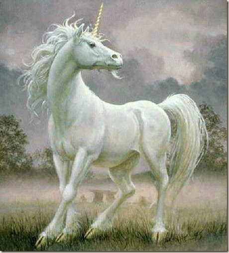 Unicornio Unicornio