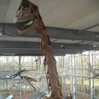 DSCF1053.JPG