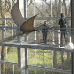 DSCF1054.JPG