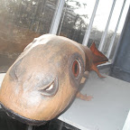 DSCF1061.JPG