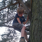 IMAG0147.jpg