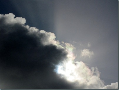 IMG_3563 IMG_3563