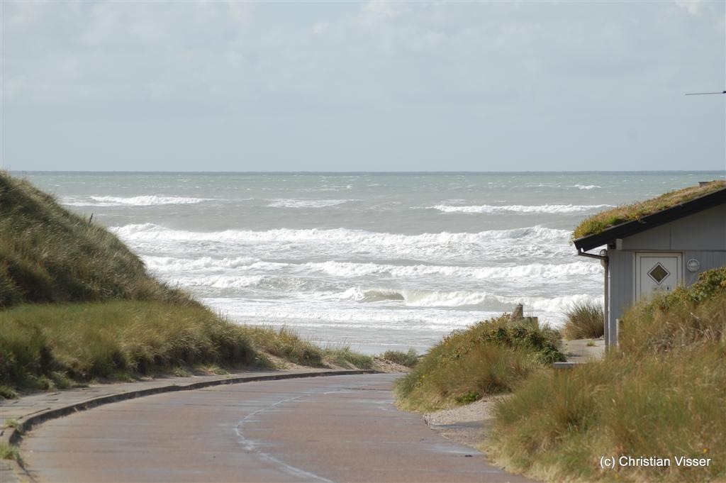 [DSC_0483 (Large)[5].jpg]