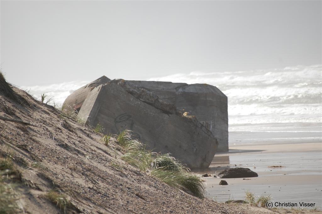 [DSC_0491 (Large)[5].jpg]