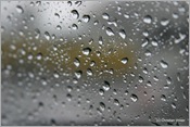 IMG_0355 (Large)