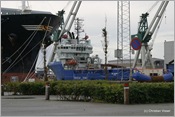 IMG_0443 (Large)