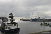 IMG_0468 (Large)