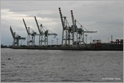 IMG_0535 (Large)
