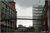 IMG_0537 (Large)