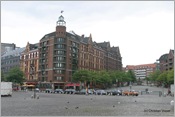 IMG_0541 (Large)