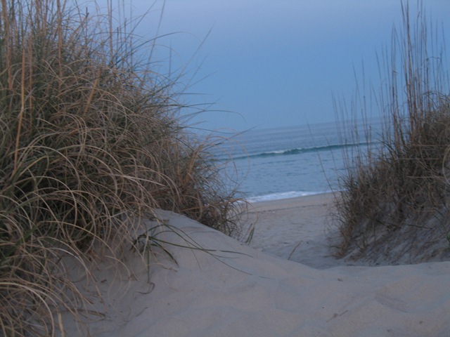[IMG_37692.jpg]