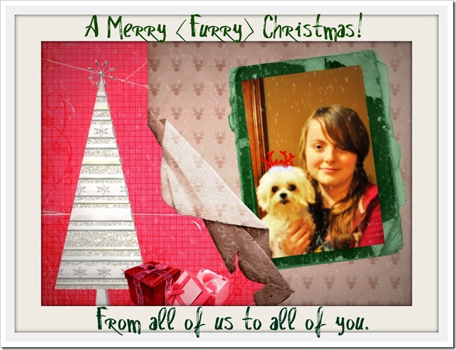 christmas collage2