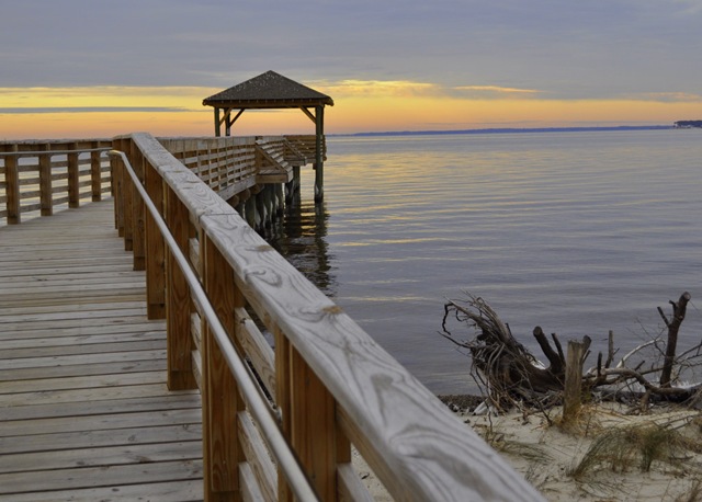 [_DSC0054[2].jpg]