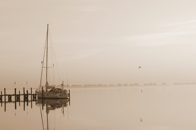 [_DSC0078[2].jpg]
