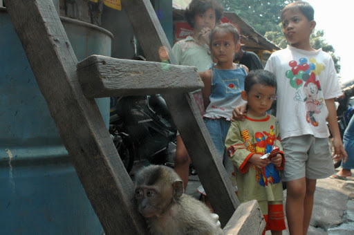 indonesian