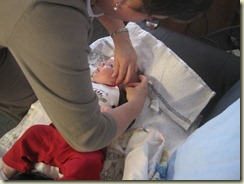 IMG_6177 IMG_6177