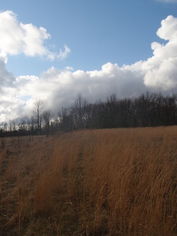 [P3120020[2].jpg]