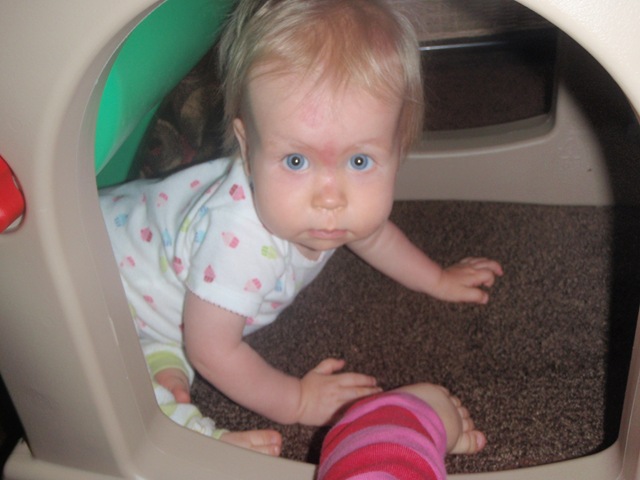[P7150044[2].jpg]