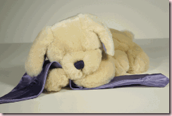 large lavender_lab