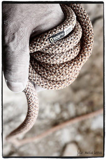 vespa primavera et3 engine spec