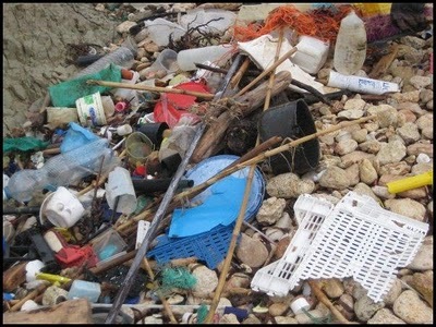 [Plastic_waste_at_beach[5].jpg]