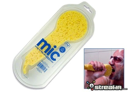 microfoneesponja
