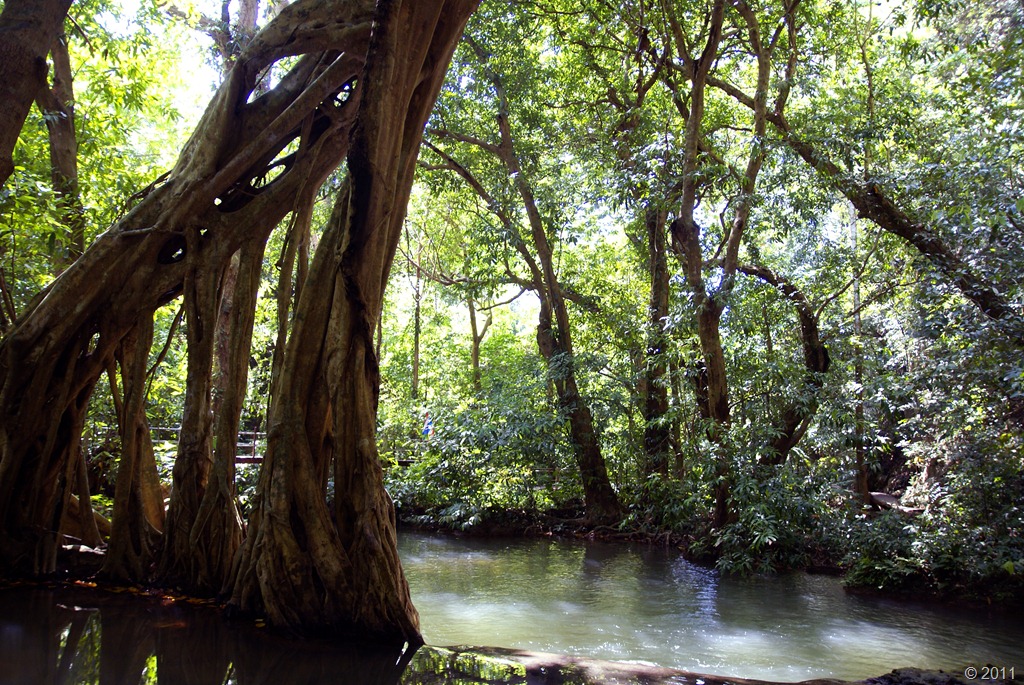 [DSC04509[3].jpg]