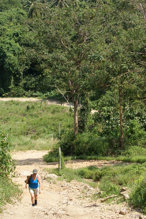 [DSC05062[3].jpg]