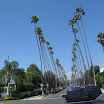 IMG_2667.JPG