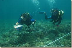 0315 DSC_1277