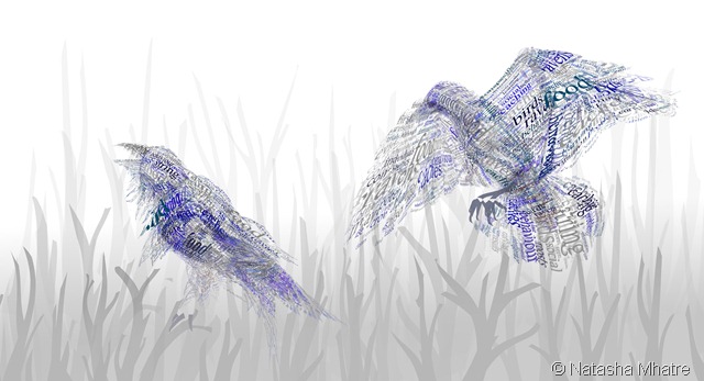 Huginn and Muninn copy small Huginn and Muninn copy small