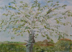 Sylvia Quinn Home