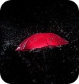 guarda-chuva