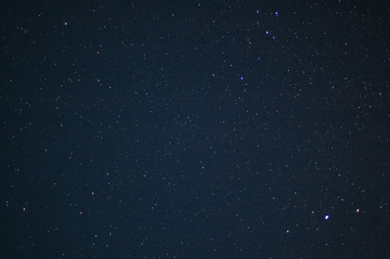 [Image: DSC_2769.JPG]