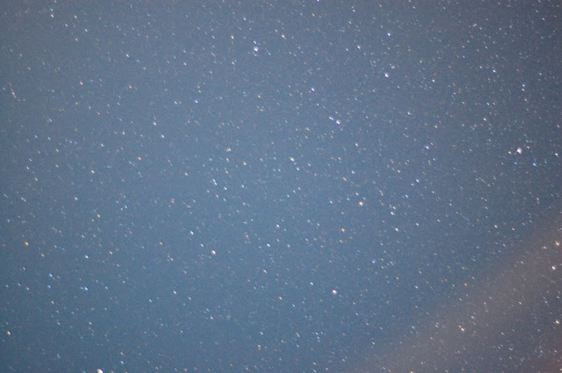 [Image: DSC_2771.JPG]