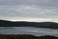 DSC03669.JPG