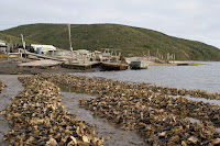 DSC03672.JPG
