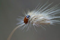 DSC06283.jpg
