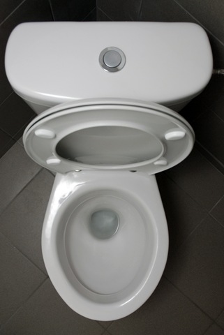 [modern-toilet-by-benedeki[2].jpg]