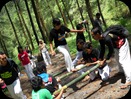 DSCN0555 DSCN0555