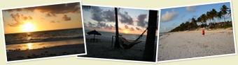 View Zanzibar Paradise sunrise