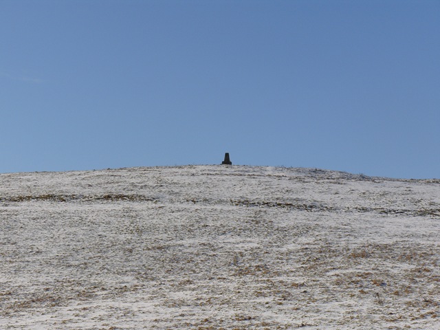 [S10543273.jpg]