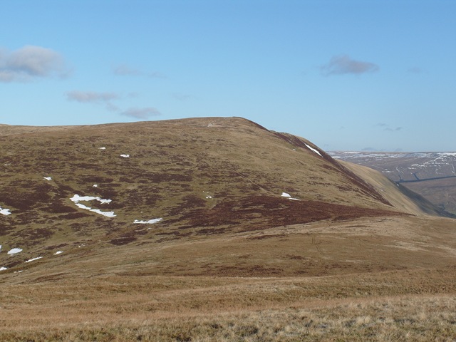 [S10540223.jpg]