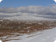 S1054605