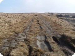 S1054857