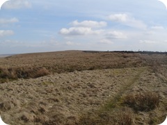 S1054899